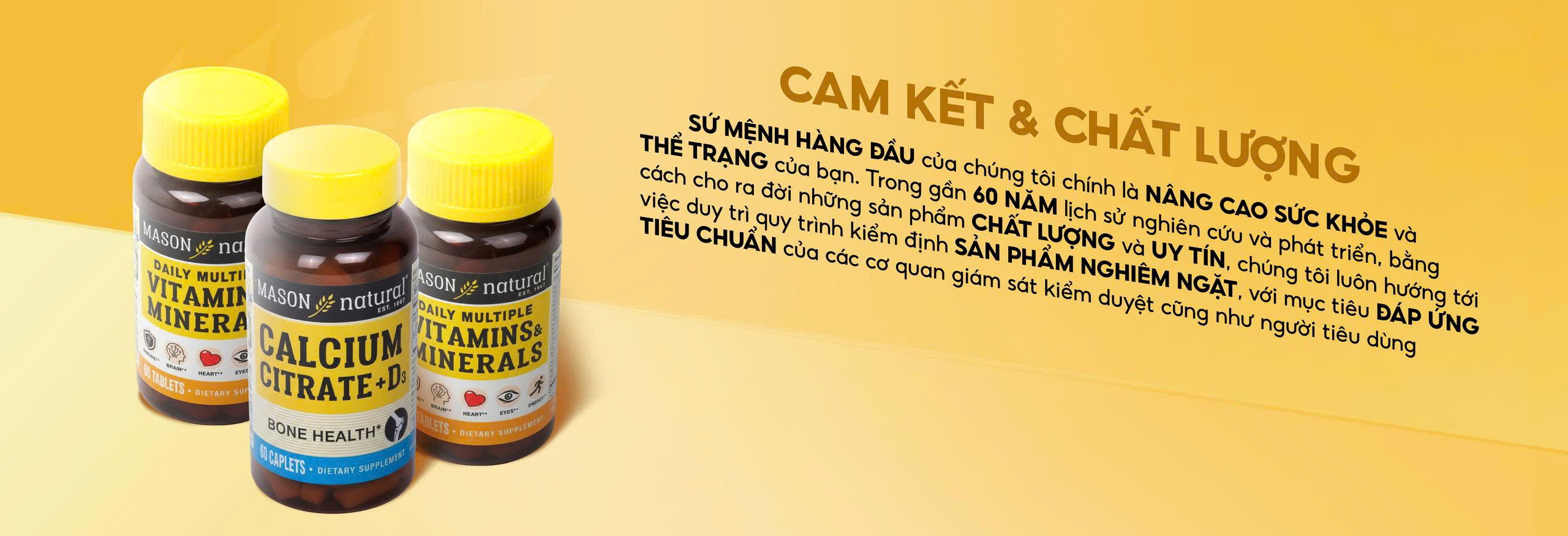 Cam kết