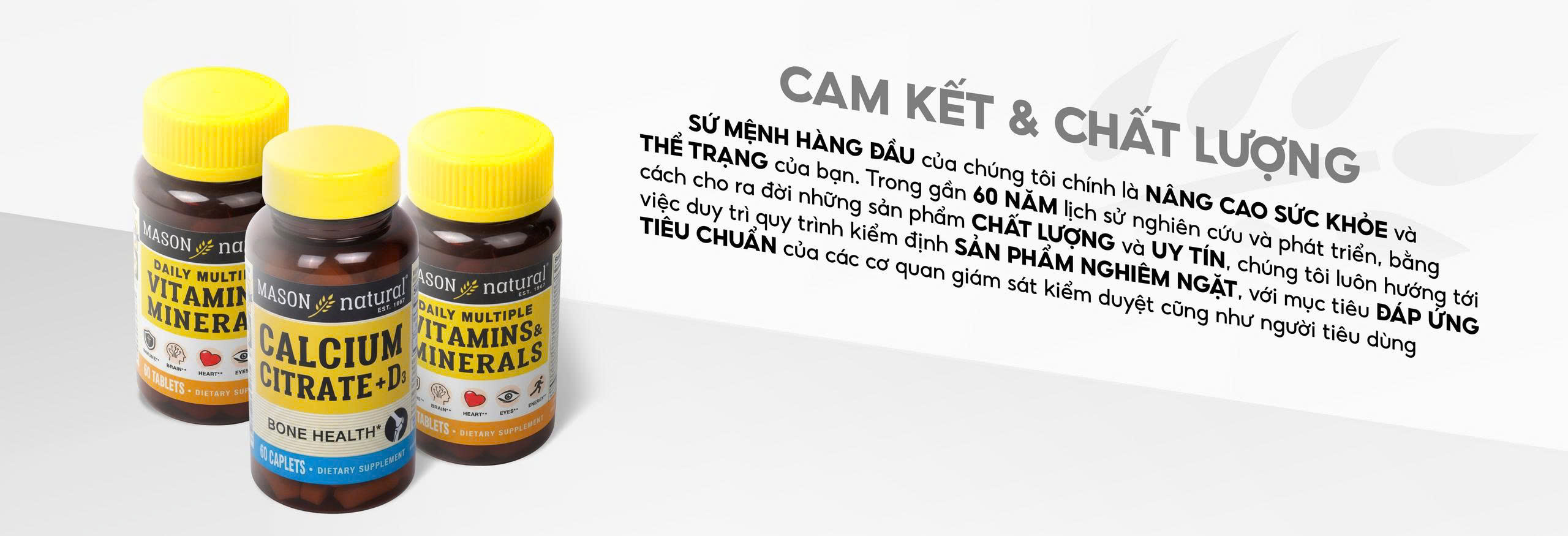 Cam kết