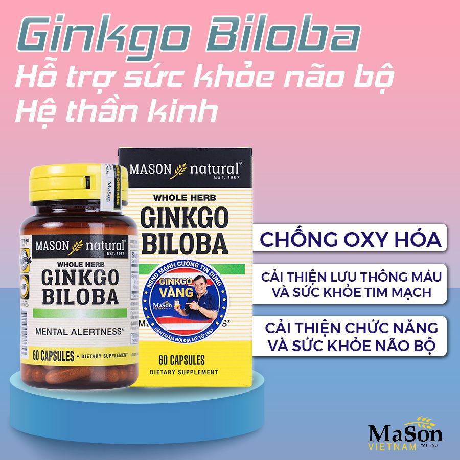 Mason Ginkgo Biloba