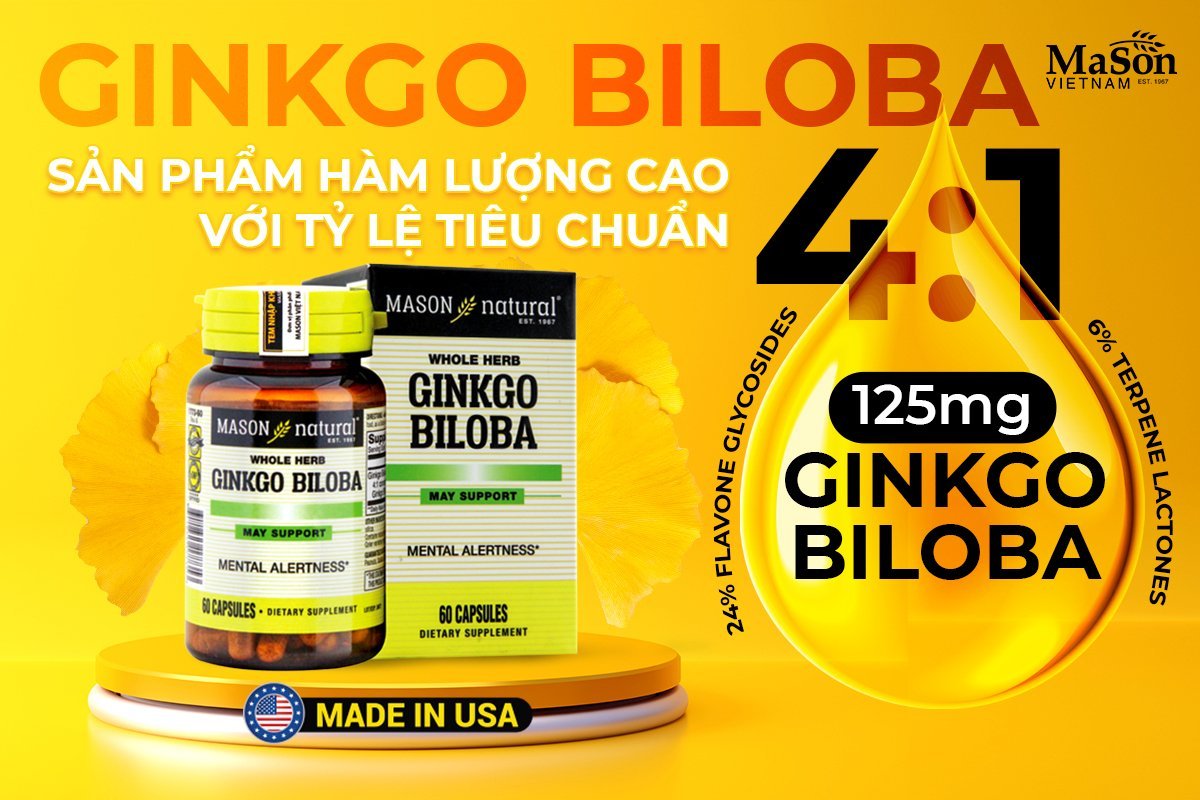 Mason Ginkgo Biloba và tỷ lệ vàng 4:1 (24% Flavone Glycosides và 6% Terpene Lactones)