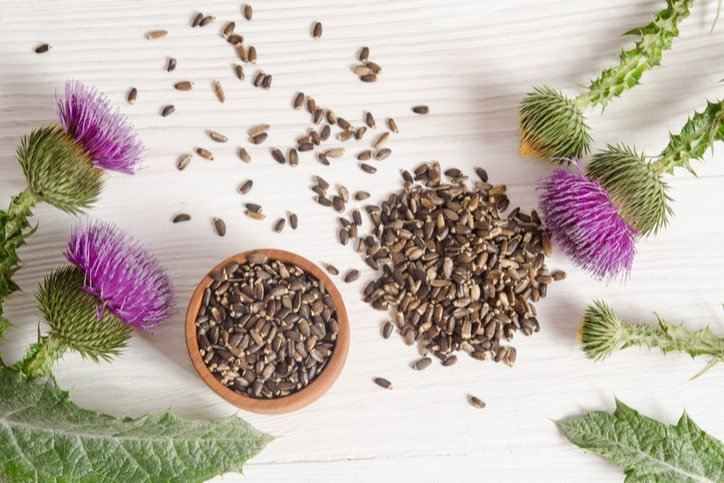 Mason Natural Milk Thistle – Hỗ trợ sức khỏe gan